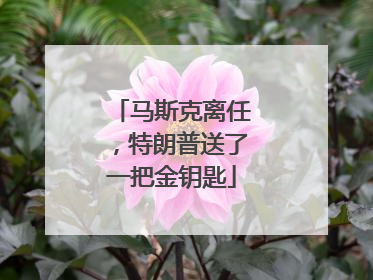马斯克离任，特朗普送了一把金钥匙