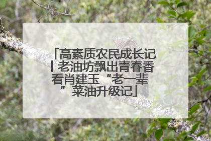 高素质农民成长记丨老油坊飘出青春香 看肖建玉“老一辈”菜油升级记