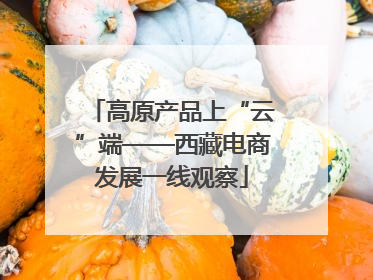高原产品上“云”端——西藏电商发展一线观察
