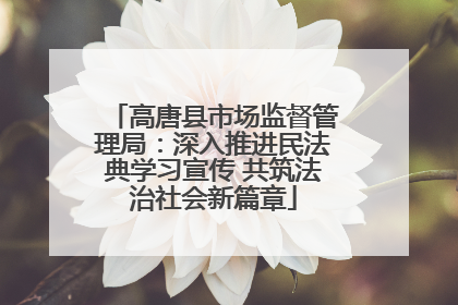高唐县市场监督管理局：深入推进民法典学习宣传 共筑法治社会新篇章