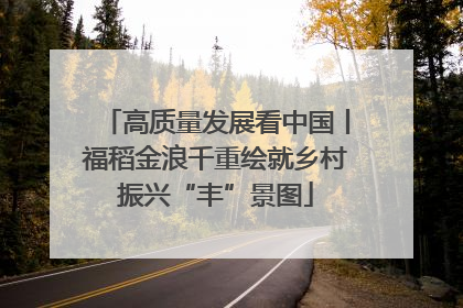 高质量发展看中国丨福稻金浪千重绘就乡村振兴“丰”景图