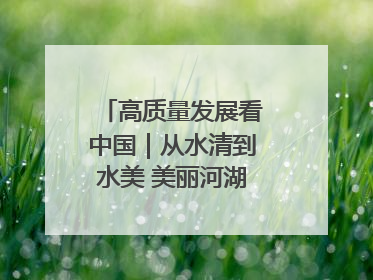 高质量发展看中国｜从水清到水美 美丽河湖扮靓美丽乡村