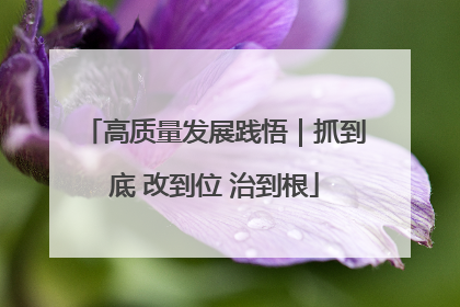 高质量发展践悟｜抓到底 改到位 治到根