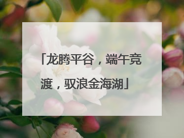 龙腾平谷，端午竞渡，驭浪金海湖