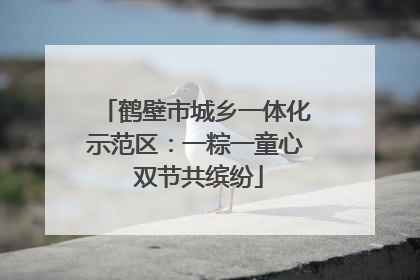 鹤壁市城乡一体化示范区：一粽一童心 双节共缤纷