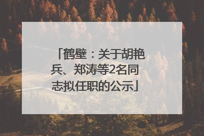 鹤壁：关于胡艳兵、郑涛等2名同志拟任职的公示