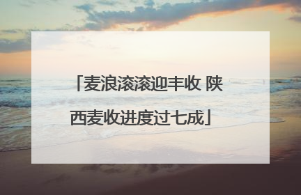 麦浪滚滚迎丰收 陕西麦收进度过七成