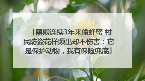 黑熊连续3年来偷蜂蜜 村民防盗花样频出却不伤害：它是保护动物，我有保险兜底