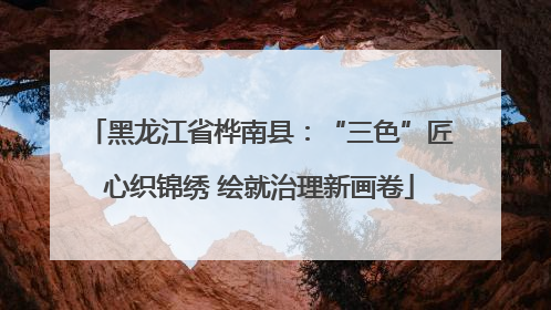 黑龙江省桦南县：“三色”匠心织锦绣 绘就治理新画卷