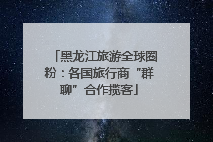 黑龙江旅游全球圈粉：各国旅行商“群聊”合作揽客