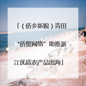 （侨乡新貌）青田“侨贸网络”助推浙江优质农产品出海
