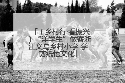 （乡村行·看振兴）“洋学生”做客浙江义乌乡村小学 学剪纸悟文化
