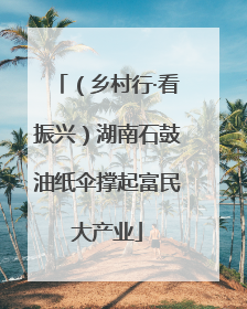 （乡村行·看振兴）湖南石鼓油纸伞撑起富民大产业