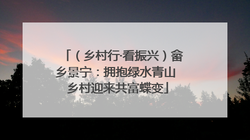 （乡村行·看振兴）畲乡景宁：拥抱绿水青山 乡村迎来共富蝶变