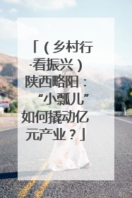 （乡村行·看振兴）陕西略阳：“小瓢儿”如何撬动亿元产业？