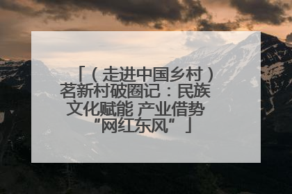 （走进中国乡村）茗新村破圈记：民族文化赋能 产业借势 “网红东风”