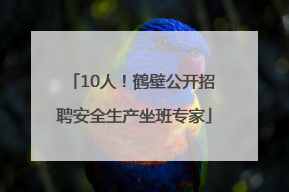 10人！鹤壁公开招聘安全生产坐班专家