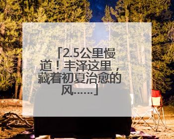 2.5公里慢道！丰泽这里，藏着初夏治愈的风……