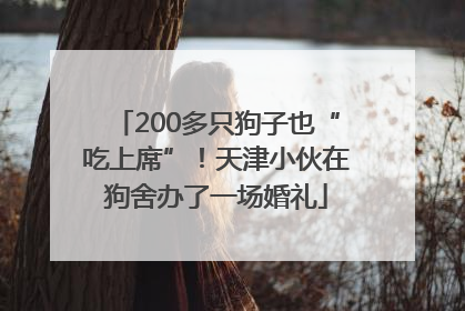 200多只狗子也“吃上席”！天津小伙在狗舍办了一场婚礼
