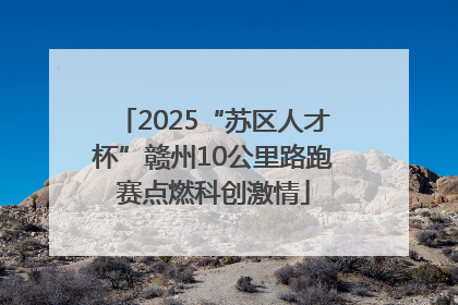 2025“苏区人才杯”赣州10公里路跑赛点燃科创激情