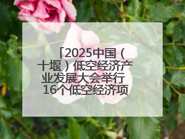 2025中国（十堰）低空经济产业发展大会举行 16个低空经济项目落户车城