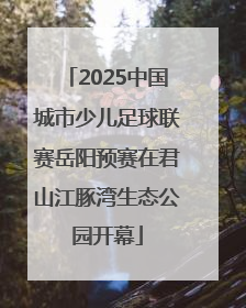 2025中国城市少儿足球联赛岳阳预赛在君山江豚湾生态公园开幕