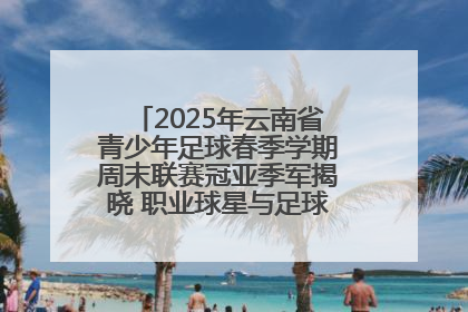 2025年云南省青少年足球春季学期周末联赛冠亚季军揭晓 职业球星与足球小将共享荣耀时刻