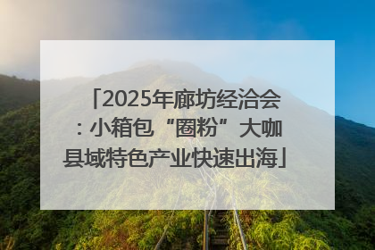 2025年廊坊经洽会：小箱包“圈粉”大咖 县域特色产业快速出海