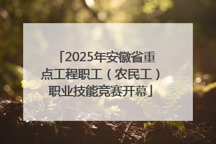 2025年安徽省重点工程职工（农民工）职业技能竞赛开幕