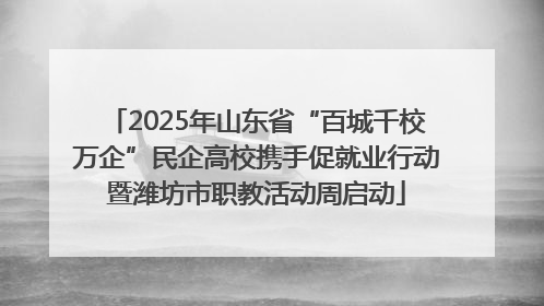 2025年山东省“百城千校万企”民企高校携手促就业行动暨潍坊市职教活动周启动