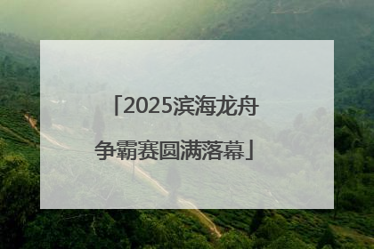 2025滨海龙舟争霸赛圆满落幕