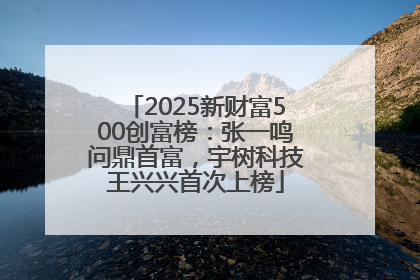 2025新财富500创富榜：张一鸣问鼎首富，宇树科技王兴兴首次上榜