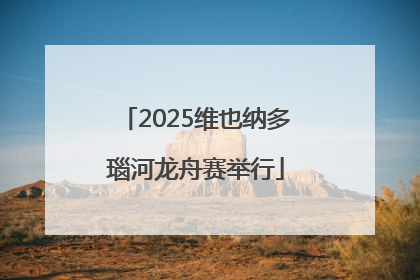 2025维也纳多瑙河龙舟赛举行