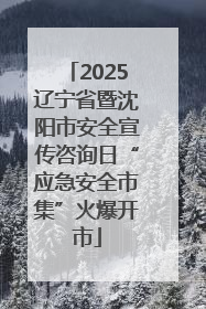 2025辽宁省暨沈阳市安全宣传咨询日“应急安全市集”火爆开市