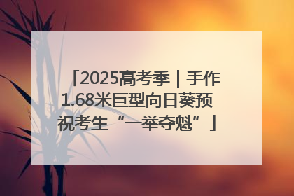 2025高考季｜手作1.68米巨型向日葵预祝考生“一举夺魁”