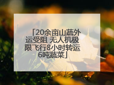 20余亩山蔬外运受阻 无人机极限飞行8小时转运6吨蔬菜