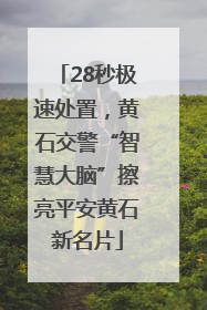 28秒极速处置，黄石交警“智慧大脑”擦亮平安黄石新名片
