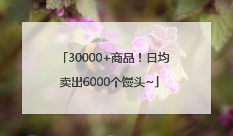 30000+商品！日均卖出6000个馒头~