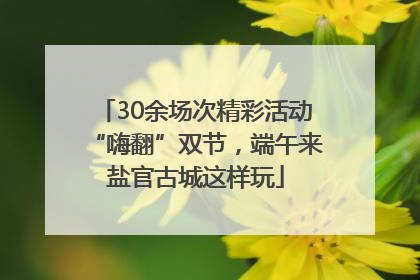 30余场次精彩活动“嗨翻”双节，端午来盐官古城这样玩