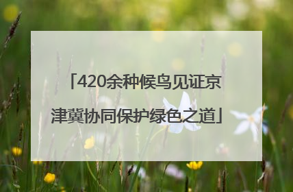 420余种候鸟见证京津冀协同保护绿色之道