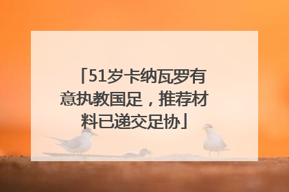 51岁卡纳瓦罗有意执教国足，推荐材料已递交足协