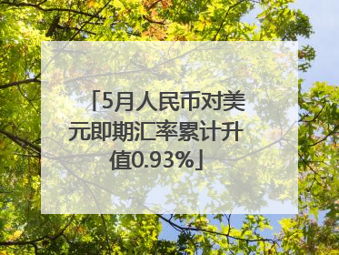 5月人民币对美元即期汇率累计升值0.93%