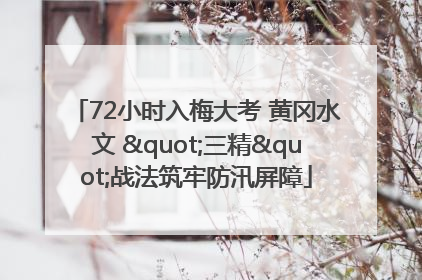72小时入梅大考 黄冈水文 "三精"战法筑牢防汛屏障