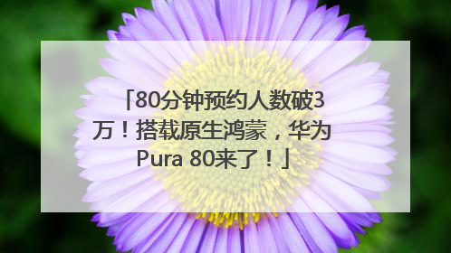 80分钟预约人数破3万！搭载原生鸿蒙，华为Pura 80来了！