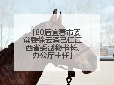 80后宜春市委常委徐云涌已任江西省委副秘书长、办公厅主任