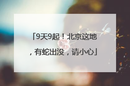 9天9起！北京这地，有蛇出没，请小心