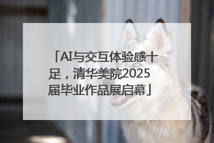 AI与交互体验感十足，清华美院2025届毕业作品展启幕