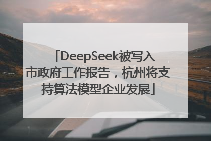 DeepSeek被写入市政府工作报告，杭州将支持算法模型企业发展