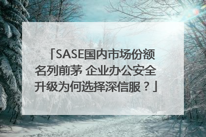 SASE国内市场份额名列前茅 企业办公安全升级为何选择深信服？